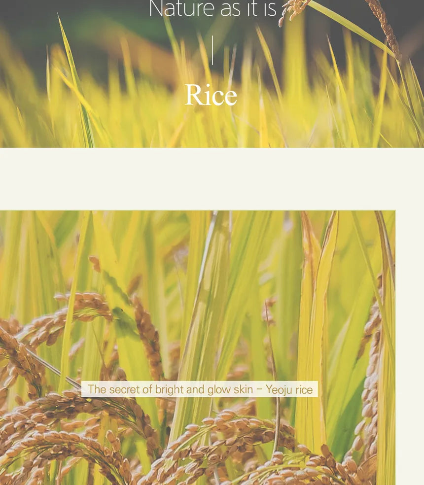 Rice Toner 150ml 100%